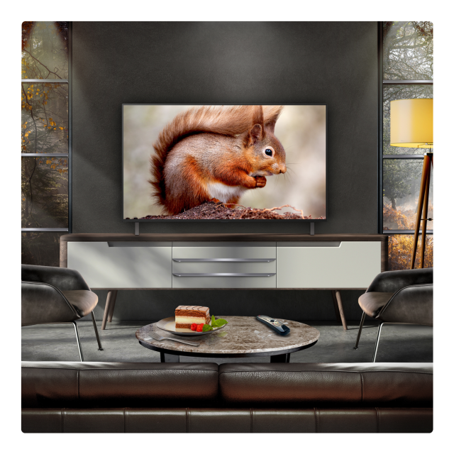 LG OLED AI B5 48inch 4K Smart TV